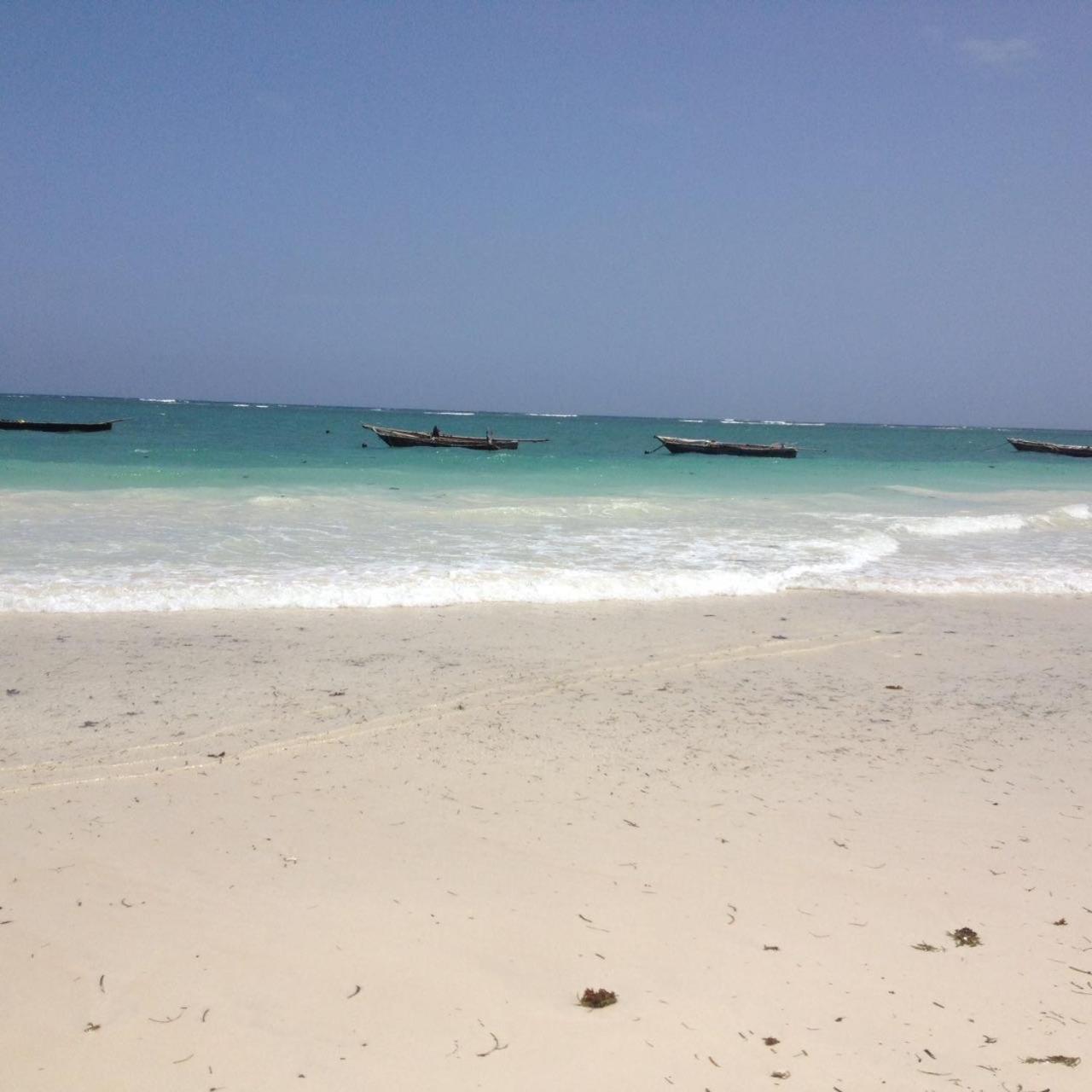 Mango Lodge Msambweni Kisimachande ภายนอก รูปภาพ