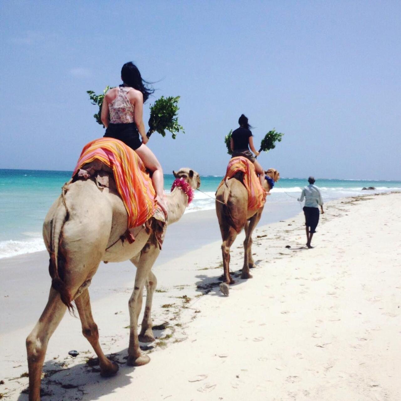 Mango Lodge Msambweni Kisimachande ภายนอก รูปภาพ
