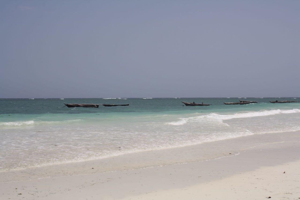Mango Lodge Msambweni Kisimachande ภายนอก รูปภาพ