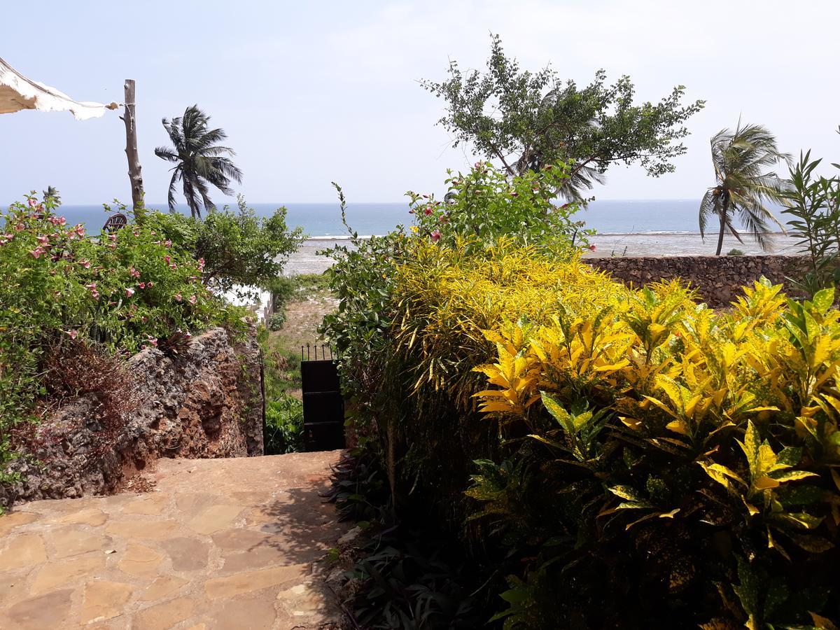 Mango Lodge Msambweni Kisimachande ห้อง รูปภาพ