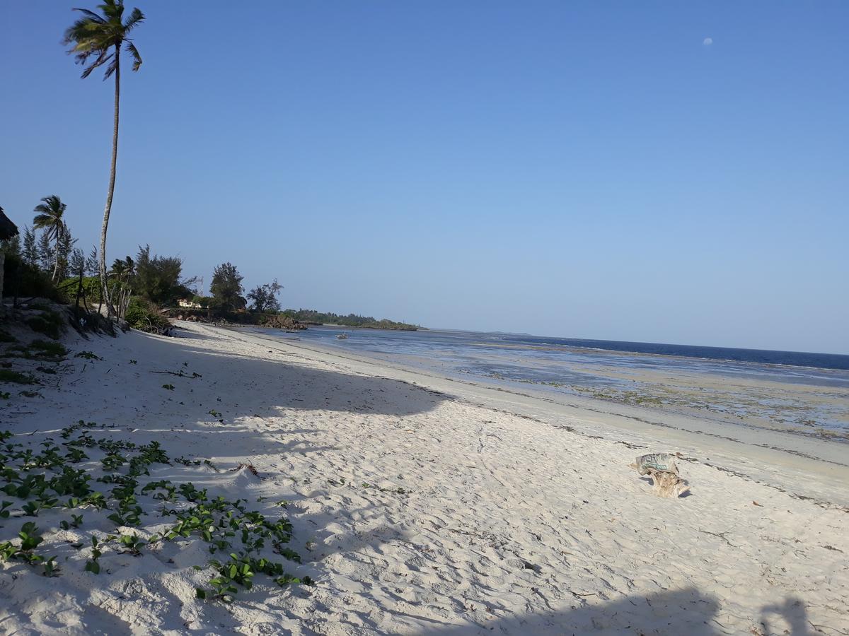 Mango Lodge Msambweni Kisimachande ภายนอก รูปภาพ