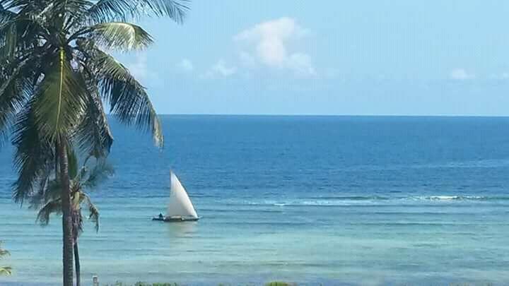 Mango Lodge Msambweni Kisimachande ภายนอก รูปภาพ