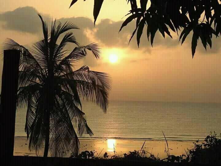 Mango Lodge Msambweni Kisimachande ภายนอก รูปภาพ